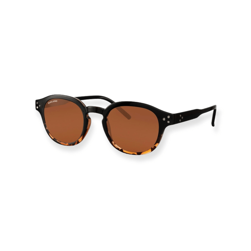 H.R.O Joyas Salta Anteojos Lentes De Sol Rimland Lips Carey 8277