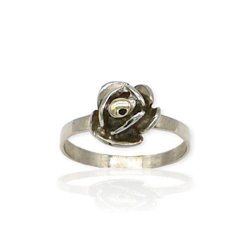 Anillo Plata 925 - Mujer - Ml455-17d